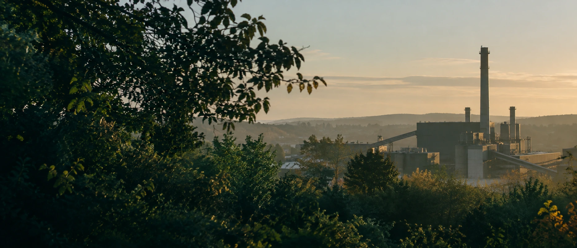 Trees in the foreground of a British industrial landscape in soft morning light